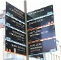 0017 IMG_2493 