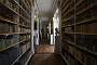 0032 IMG_2511 