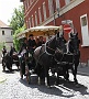0065 IMG_2572 