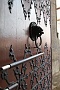 0129 IMG_2652 