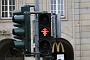 0017 IMG_2773 