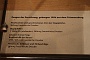 0033 IMG_2873 