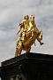 0077 IMG_2896 