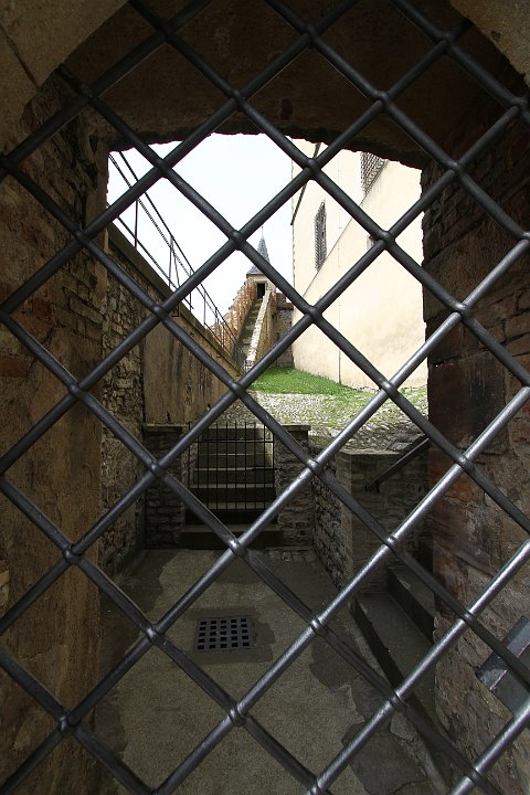 0019 IMG_3052 .JPG