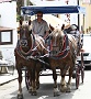 0029 IMG_3082 