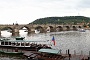 0070 IMG_3176 