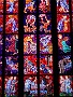 0089 IMG_0529 
