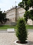 0111 IMG_3250 