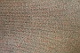 0136 IMG_3300 