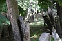 0141 IMG_3308 