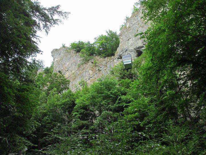 0038 IMG_0612 .JPG