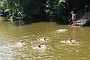 0010 IMG_3372 