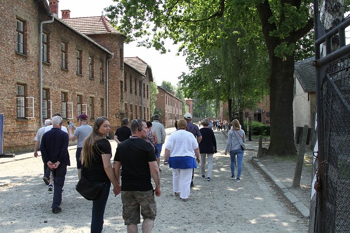 0008 IMG_3480      .JPG