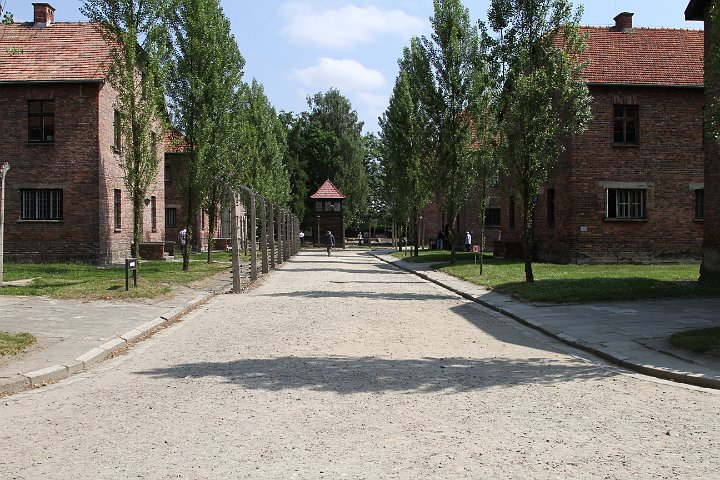 0011 IMG_3485      .JPG