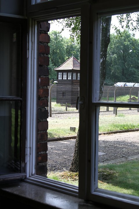 0013 IMG_3493      .JPG