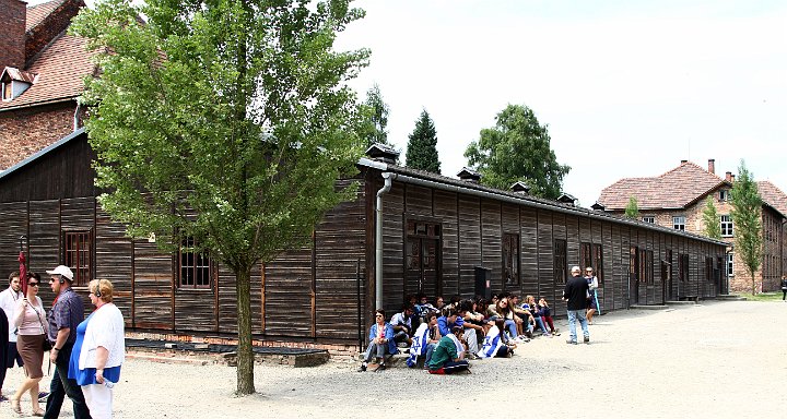 0050 IMG_3565      .jpg
