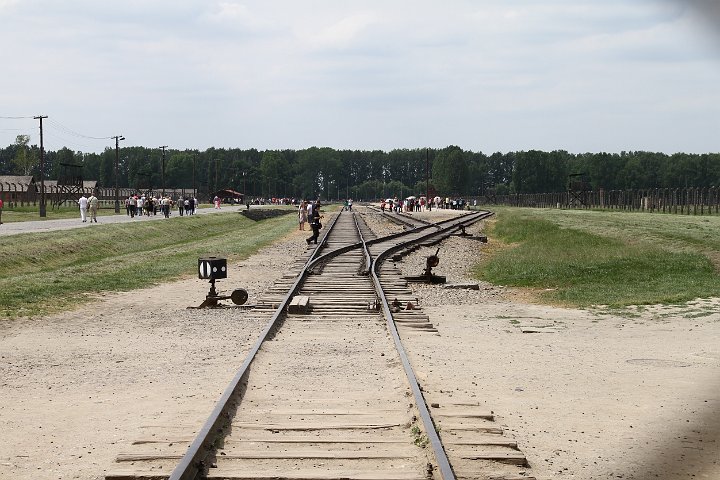 0093 IMG_3646      .jpg