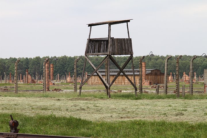0094 IMG_3654      .JPG