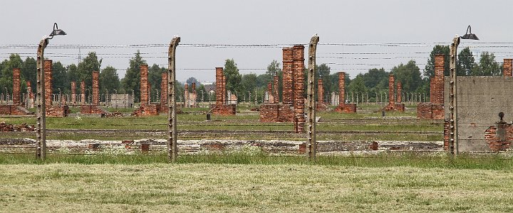 0096 IMG_3656      .jpg
