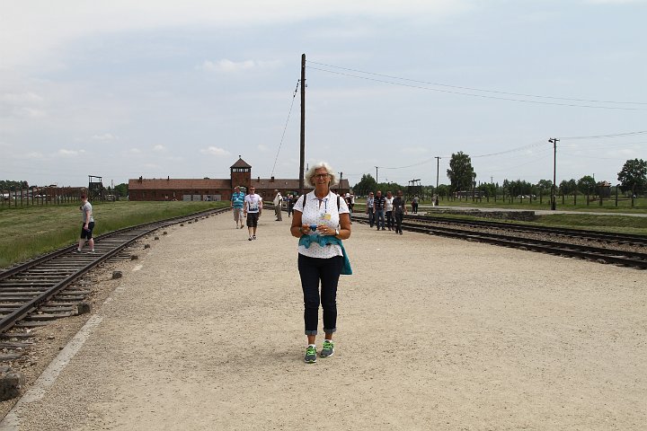 0100 IMG_3661      .JPG