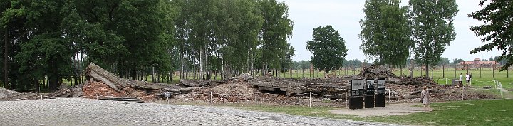 0108 IMG_3691      .jpg