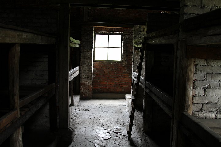 0129 IMG_3715      .JPG