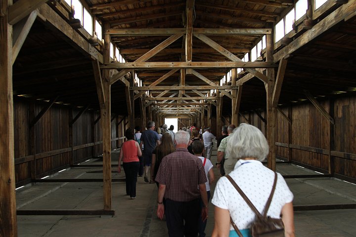 0138 IMG_3732      .JPG