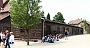0050 IMG_3565      