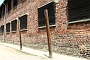 0061 IMG_3587      