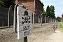 0065 IMG_3581      