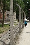 0074 IMG_3611      