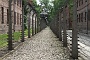 0075 IMG_3613      