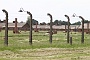 0095 IMG_3655      