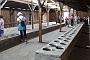 0140 IMG_3735      