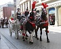 001 IMG_3746 