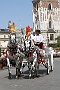 004 IMG_3753 