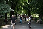 019 IMG_3790 