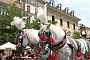 025 IMG_3806 