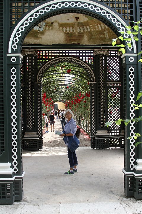 0012 IMG_3949 .jpg