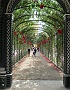 0019 IMG_0870 