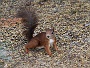 0039 IMG_4016 