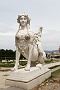 0140 IMG_4289 