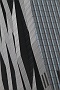 0155 IMG_4319 