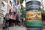 0161 IMG_4382 