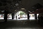 0162 IMG_4385 