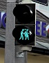 0172 IMG_4406 
