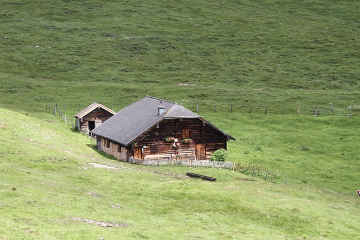 0055 IMG_4525 .JPG