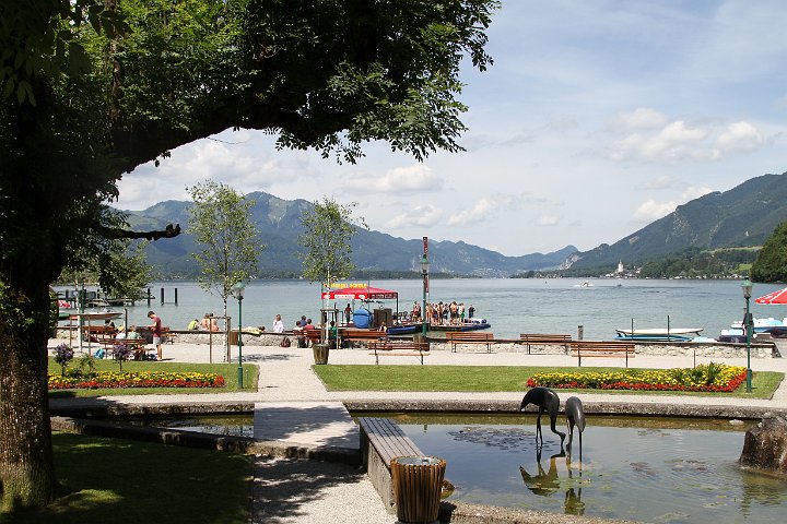 0080 IMG_4595 .jpg