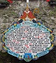 0005 IMG_1068 