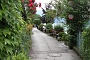 0013 IMG_4431 